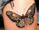 Татуировки бабочек Тату бабочка кружевная